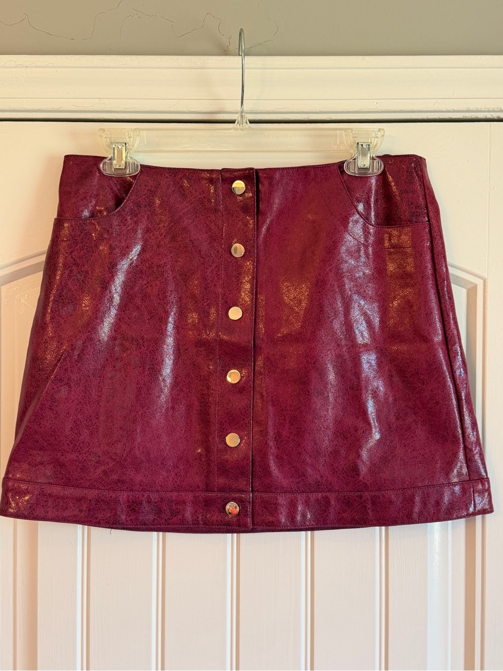 Pants Store Faux Leather Button-Front Mini Skirt in Burgundy